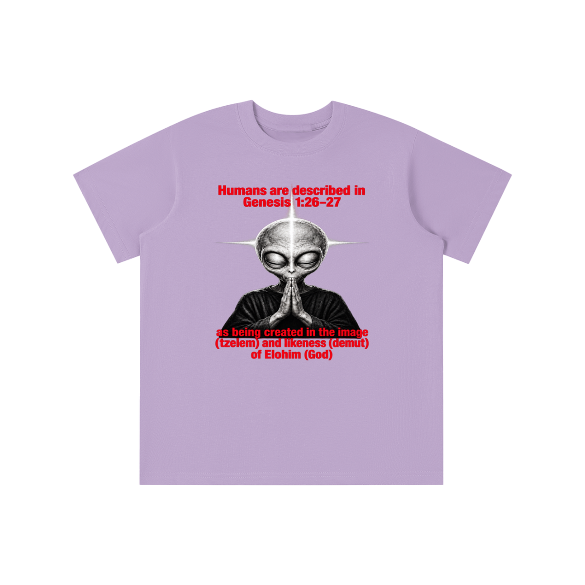 human are described in Genesis 1:26-27 as being created in the image (tzelem) and likeness (demut) of Elohim (God) youth T-shirt
