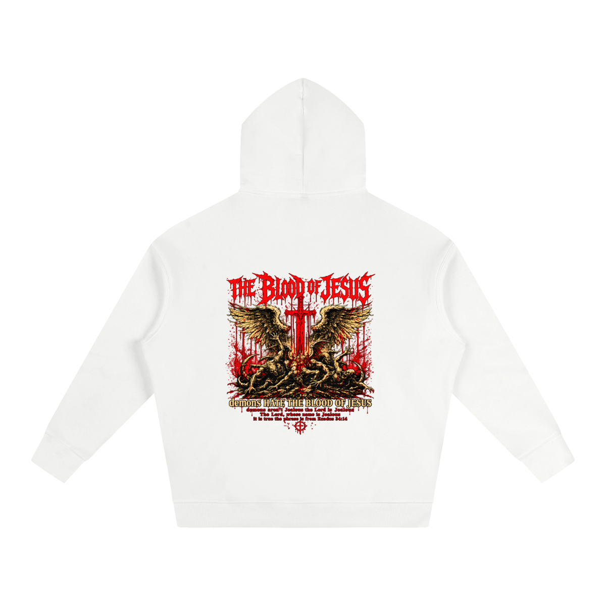 THE LORD'S NAME IS Jealous The phrase is from Exodus 34:14 Hoodie