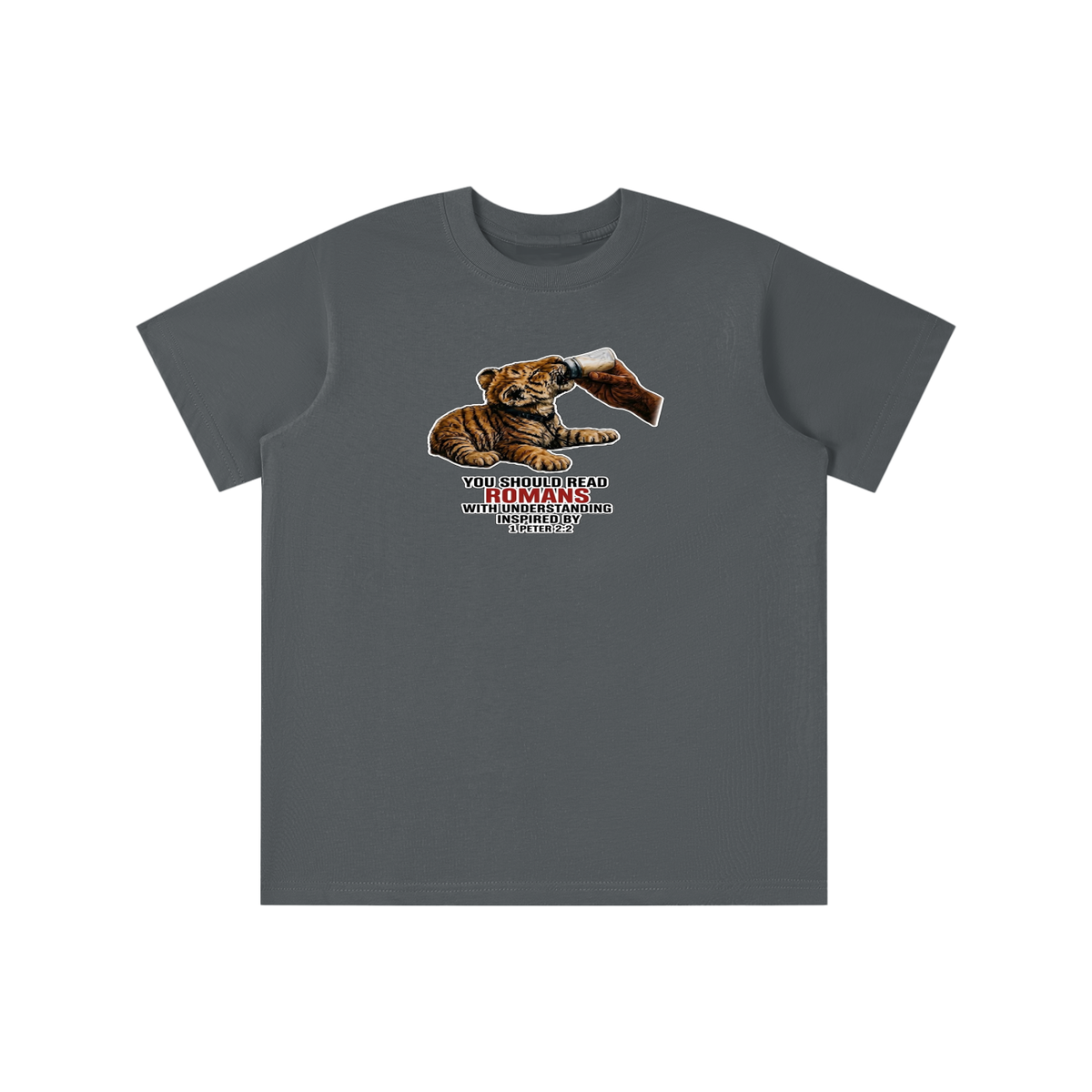YOU SHOULD READ ROMANS WITH UNDERSTANDING INSPIRED BY 1 PETER 2:2 youth T-shirt