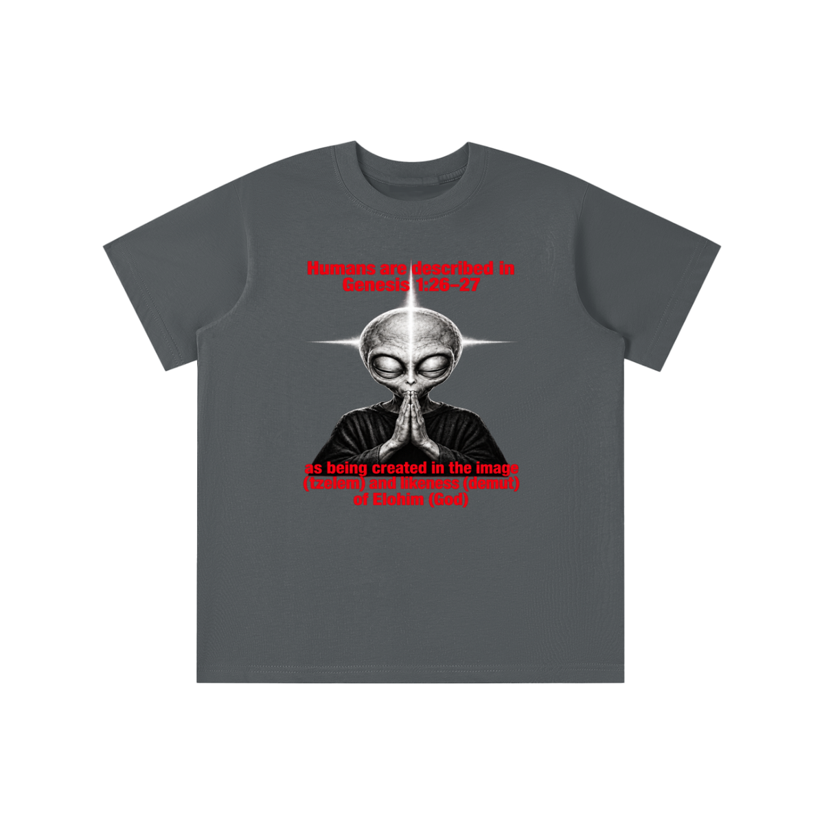 human are described in Genesis 1:26-27 as being created in the image (tzelem) and likeness (demut) of Elohim (God) youth T-shirt