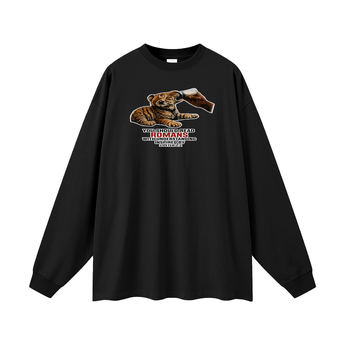YOU SHOULD READ ROMANS WITH UNDERSTANDING INSPIRED BY 1 PETER 2:2 Long Sleeve T-Shirt