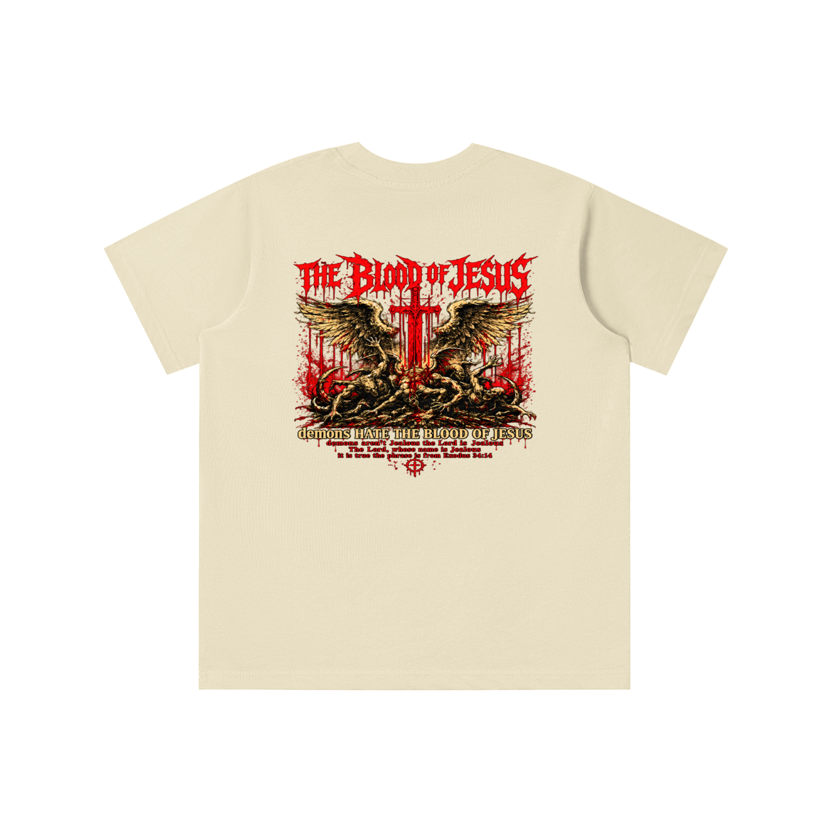 THE LORD'S NAME IS Jealous The phrase is from Exodus 34:14 youth T-shirt