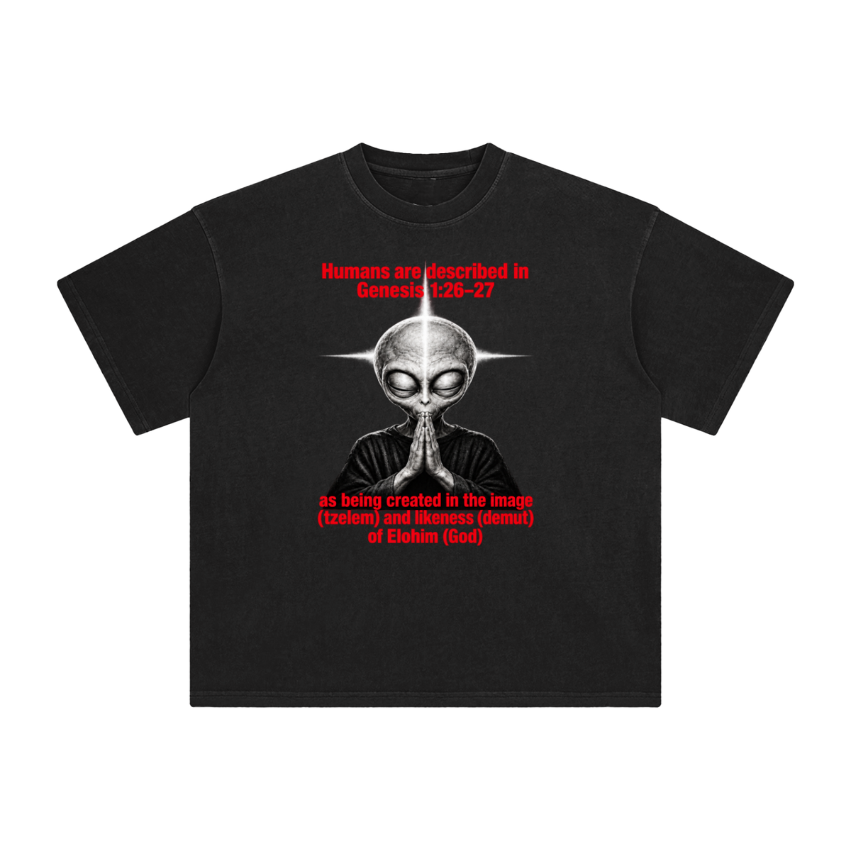 human are described in Genesis 1:26-27 as being created in the image (tzelem) and likeness (demut) of Elohim (God) T-Shirt