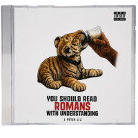 YOU SHOULD READ ROMANS WITH UNDERSTANDING Kids' Shorts