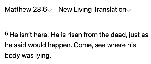 Jesus is alive Hoodie