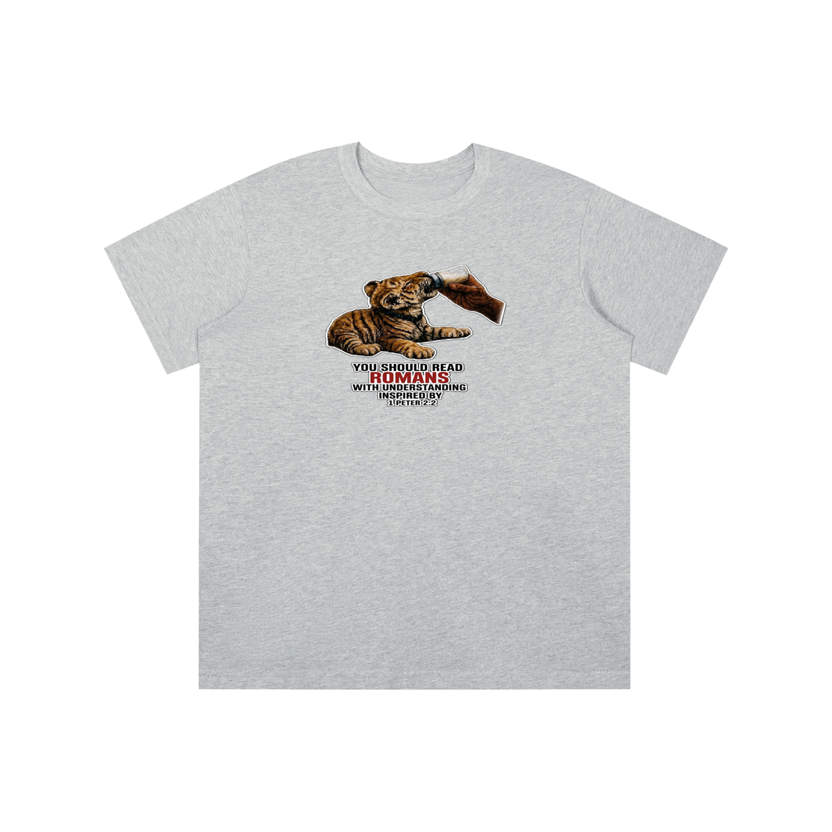 YOU SHOULD READ ROMANS WITH UNDERSTANDING INSPIRED BY 1 PETER 2:2 youth T-shirt
