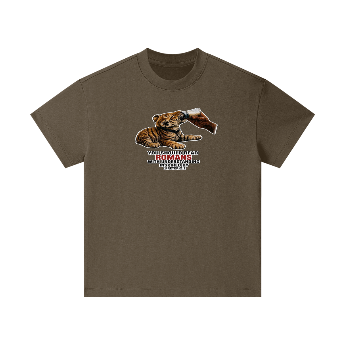 YOU SHOULD READ ROMANS WITH UNDERSTANDING INSPIRED BY 1 PETER 2:2 Kids T-Shirt