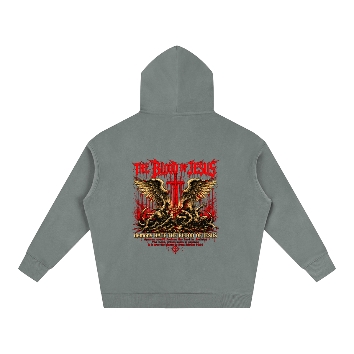 THE LORD'S NAME IS Jealous The phrase is from Exodus 34:14 Hoodie
