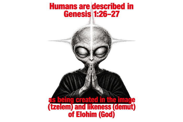 human are described in Genesis 1:26-27 as being created in the image (tzelem) and likeness (demut) of Elohim (God) no pocket Hoodie