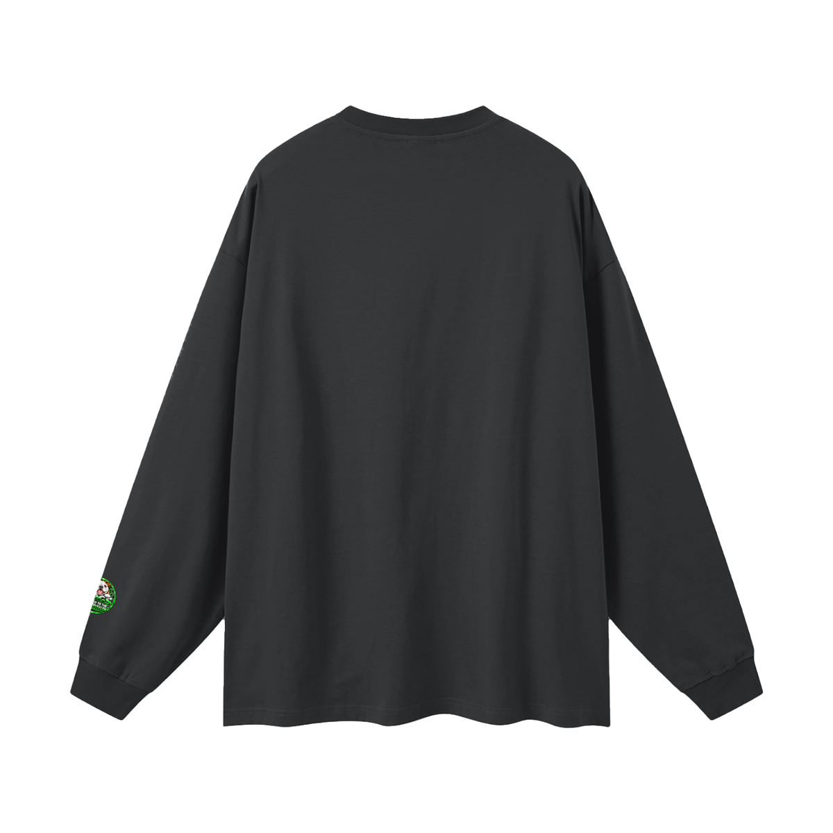 DOZENS OF TESTIMONIES ON THE INTERNET OF JESUS ENCOUNTERING PEOPLE. Long Sleeve T-Shirt
