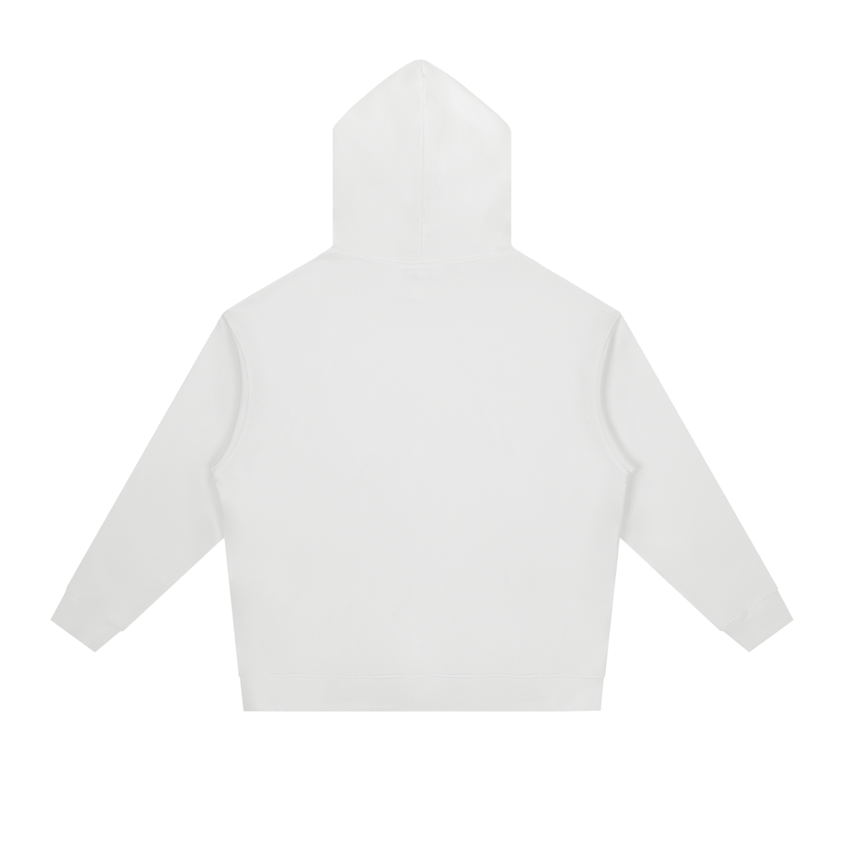 HAIL TO THE KING OF ISRAEL Hoodie