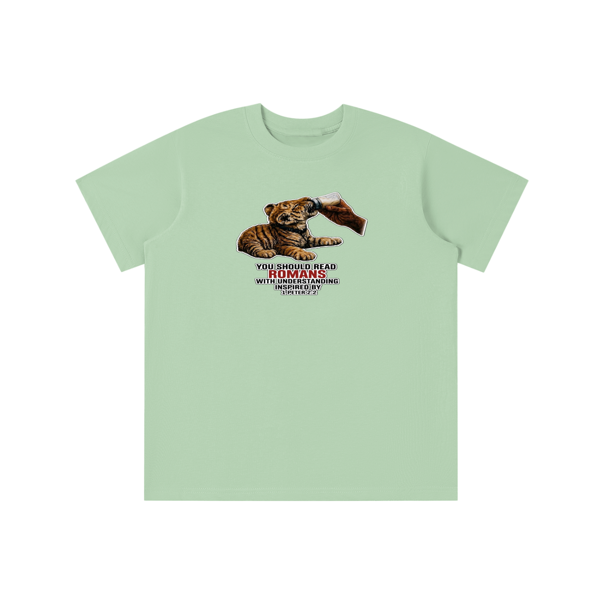 YOU SHOULD READ ROMANS WITH UNDERSTANDING INSPIRED BY 1 PETER 2:2 youth T-shirt