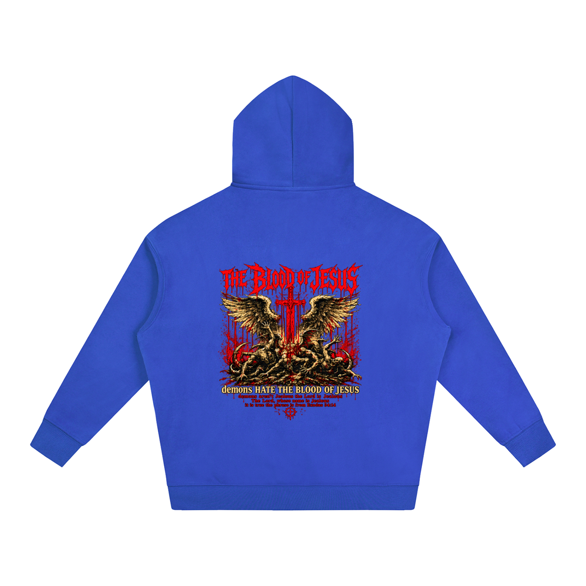 THE LORD'S NAME IS Jealous The phrase is from Exodus 34:14 Hoodie