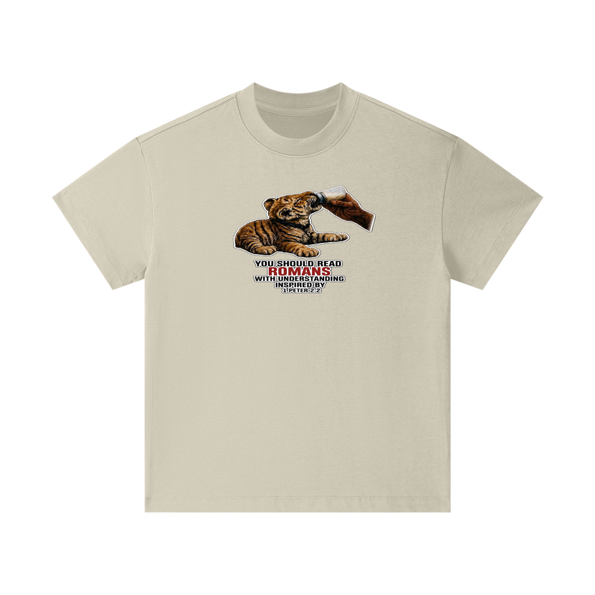 YOU SHOULD READ ROMANS WITH UNDERSTANDING INSPIRED BY 1 PETER 2:2 Kids T-Shirt