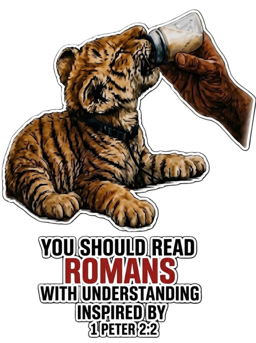 YOU SHOULD READ ROMANS WITH UNDERSTANDING INSPIRED BY 1 PETER 2:2 youth T-shirt