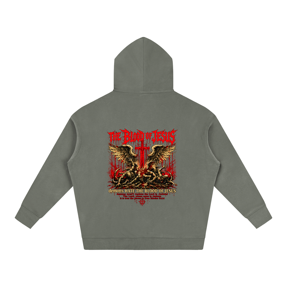 THE LORD'S NAME IS Jealous The phrase is from Exodus 34:14 Hoodie