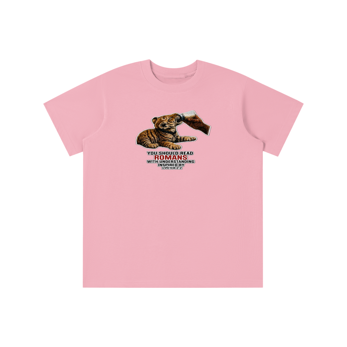YOU SHOULD READ ROMANS WITH UNDERSTANDING INSPIRED BY 1 PETER 2:2 youth T-shirt