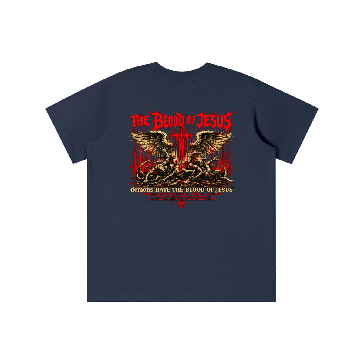 THE LORD'S NAME IS Jealous The phrase is from Exodus 34:14 youth T-shirt