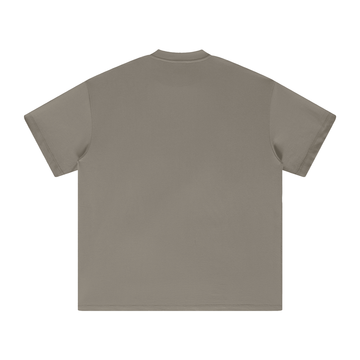 LOOK AT THE BIRDS IN THE SKY THEY'RE FED INSPIRED BY MATTHEW 6:26 T-Shirt