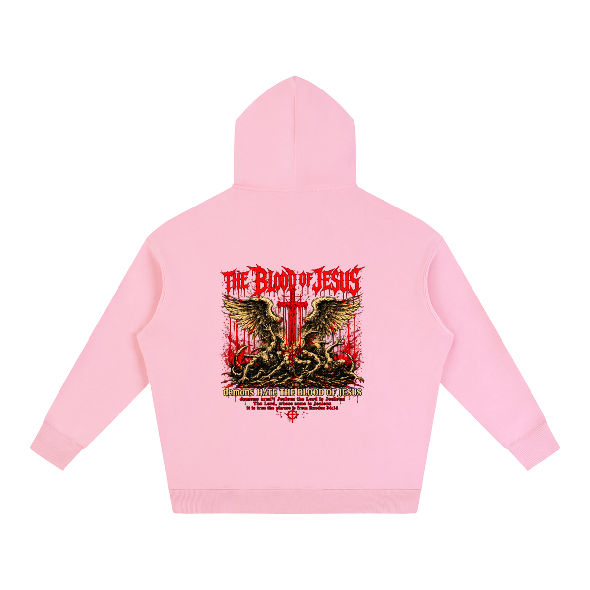 THE LORD'S NAME IS Jealous The phrase is from Exodus 34:14 Hoodie