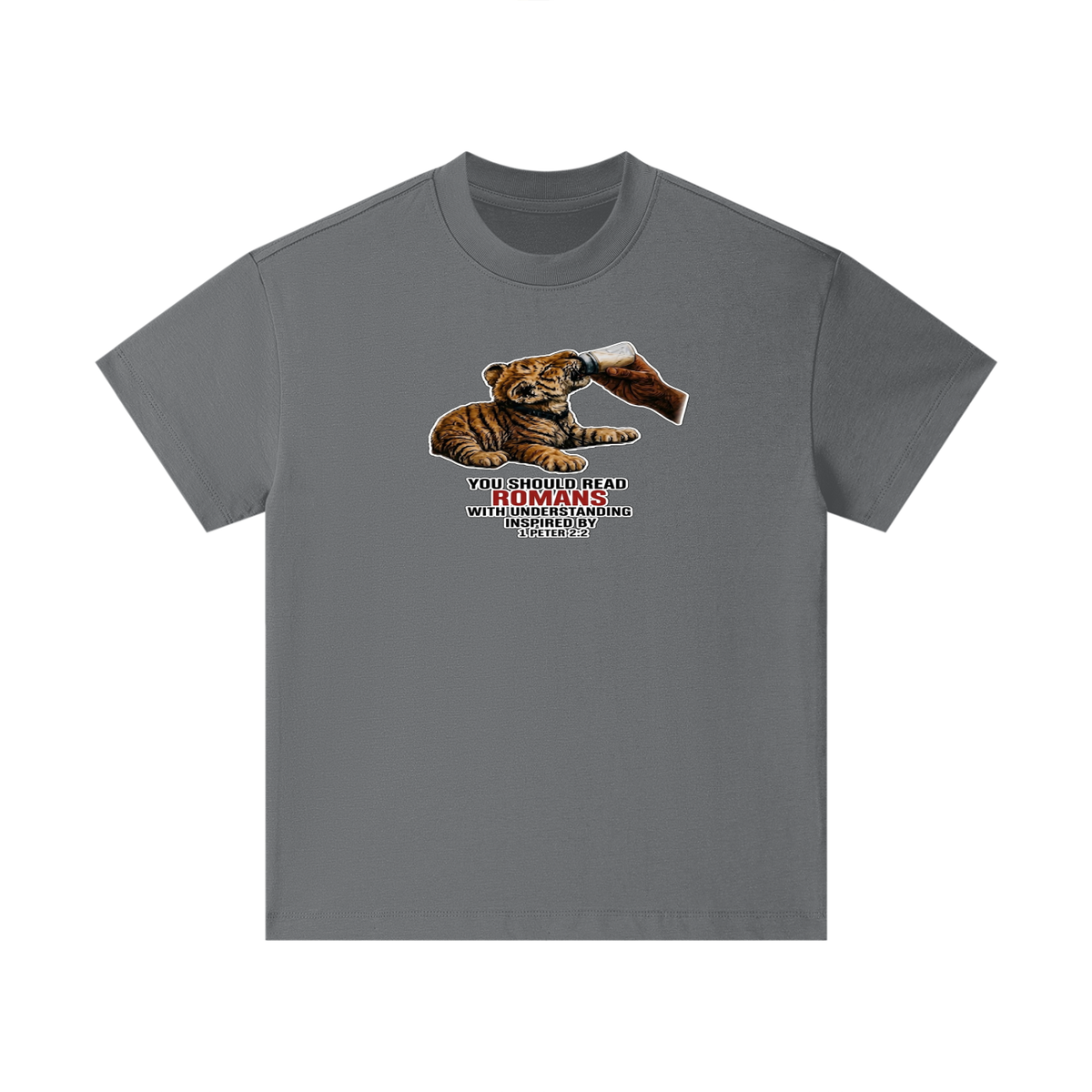 YOU SHOULD READ ROMANS WITH UNDERSTANDING INSPIRED BY 1 PETER 2:2 Kids T-Shirt
