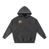 JESUS DIED ONCE BACKED UP BY Romans 6:9-10 Hoodie