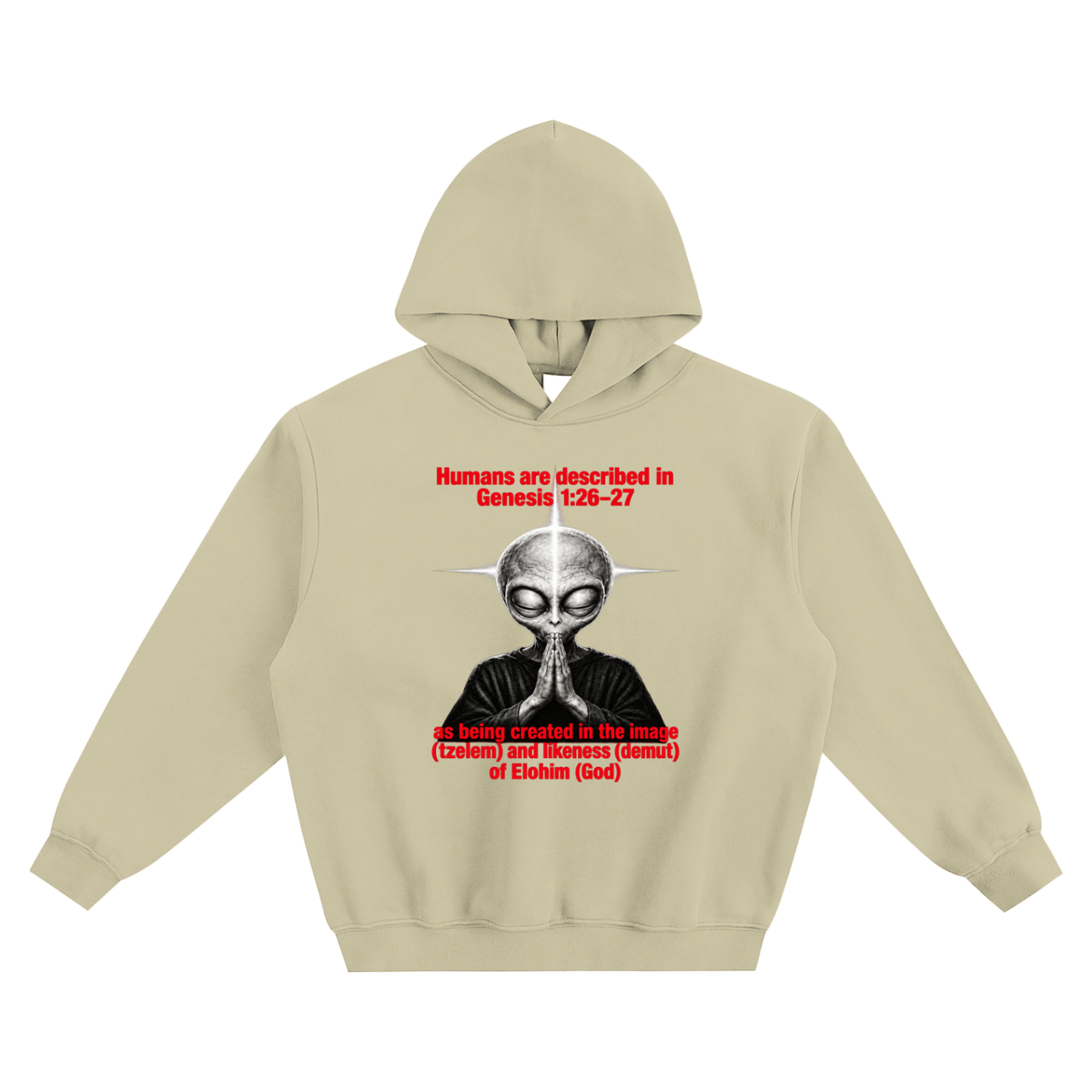 human are described in Genesis 1:26-27 as being created in the image (tzelem) and likeness (demut) of Elohim (God) no pocket Hoodie