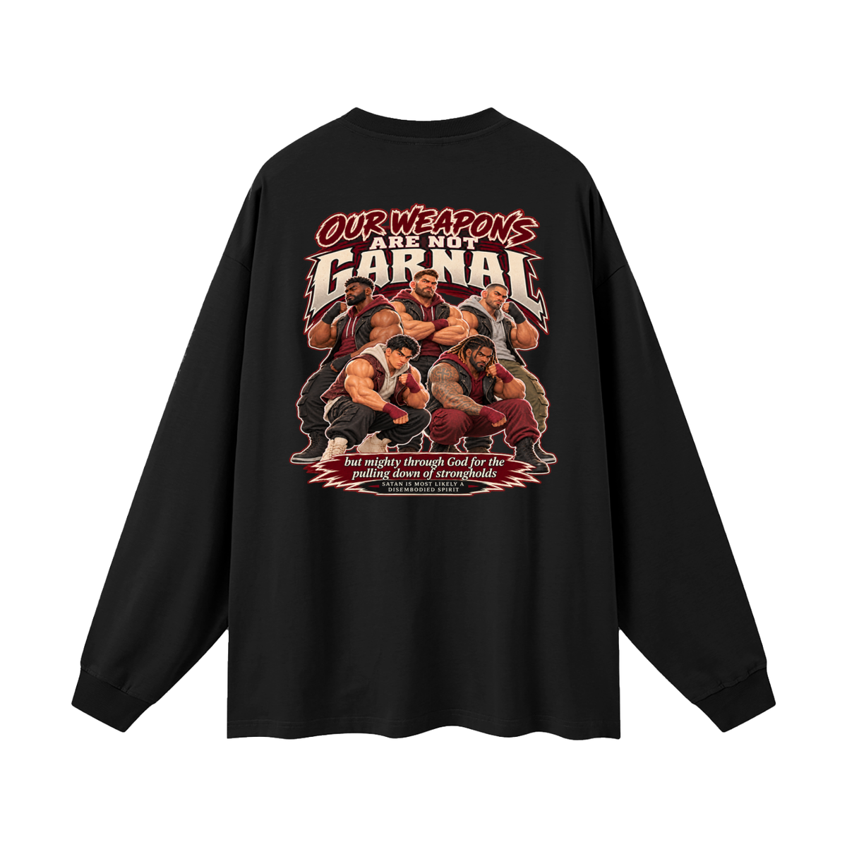 HUMANS ARE STUPID (Jeremiah 4:22) OUR WEAPONS ARE NOT CARNAL but mighty through God for the pulling down of strongholds SATAN IS MOST LIKELY A DISEMBODIED SPIRIT Long Sleeve T-Shirt