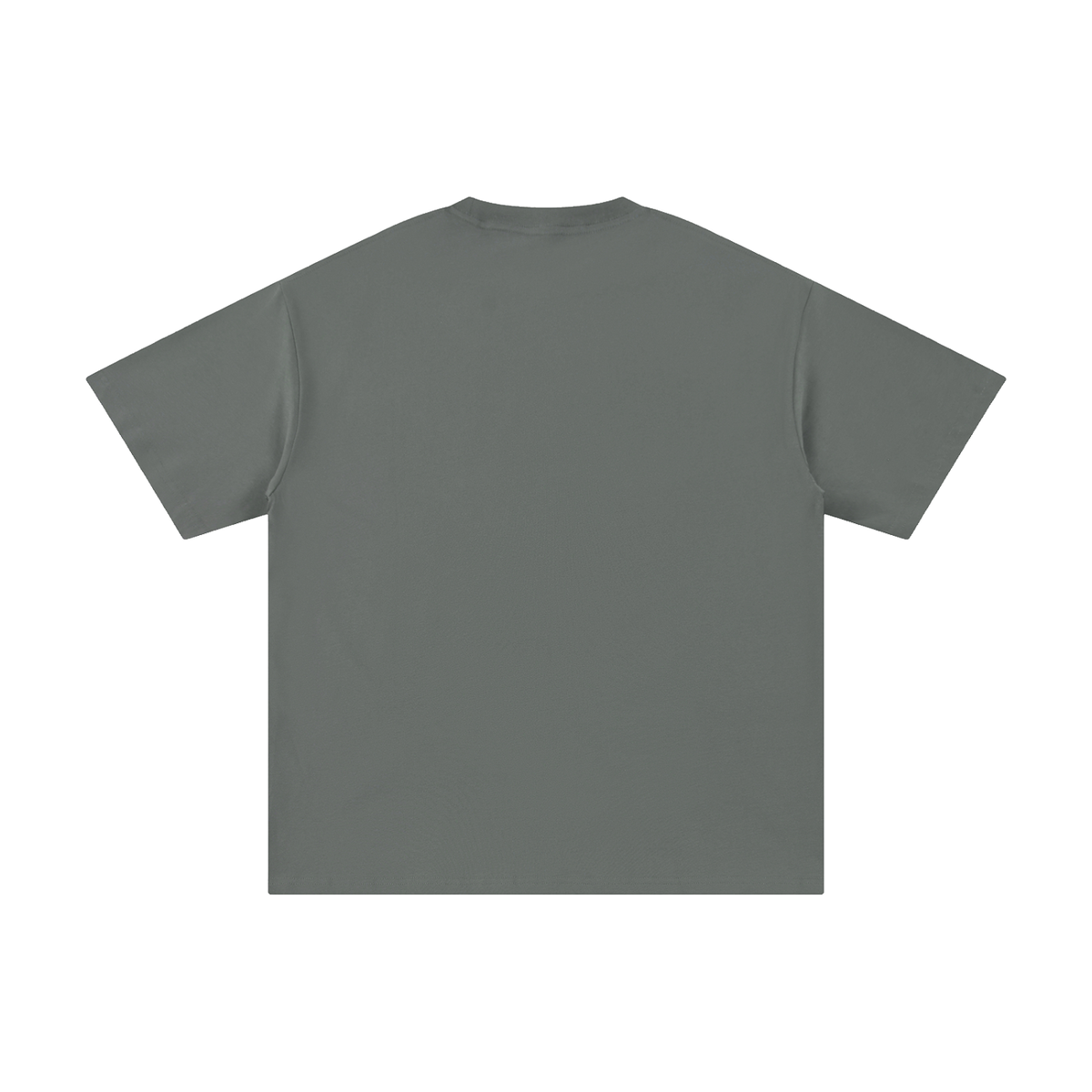 HUMAN BEINGS WERE ORIGINALLY CREATED IN THE IMAGE OF GOD T-Shirt