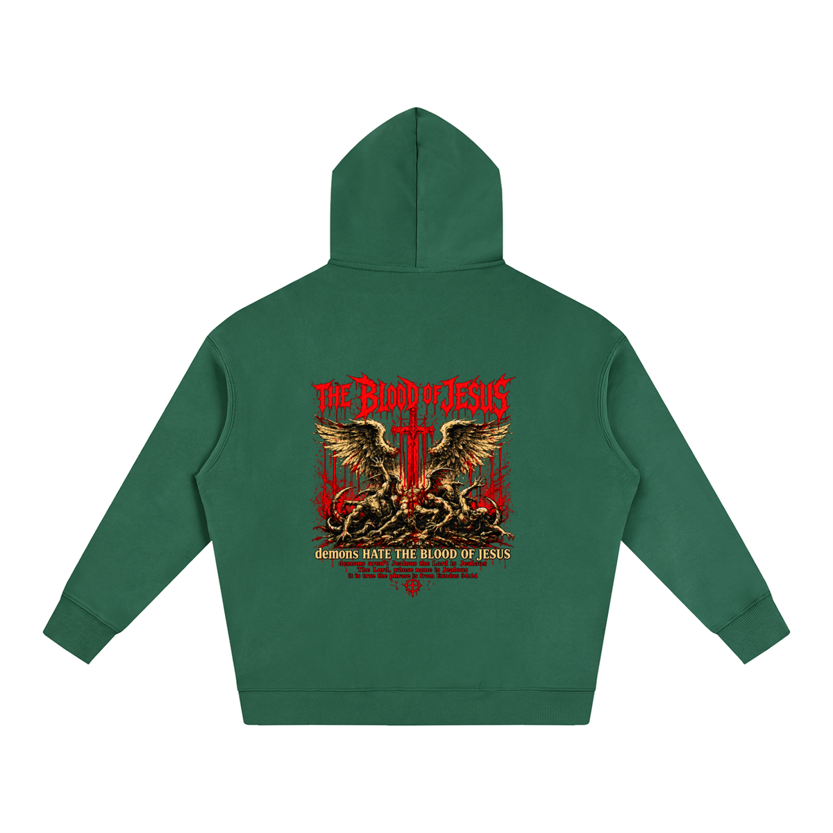 THE LORD'S NAME IS Jealous The phrase is from Exodus 34:14 Hoodie