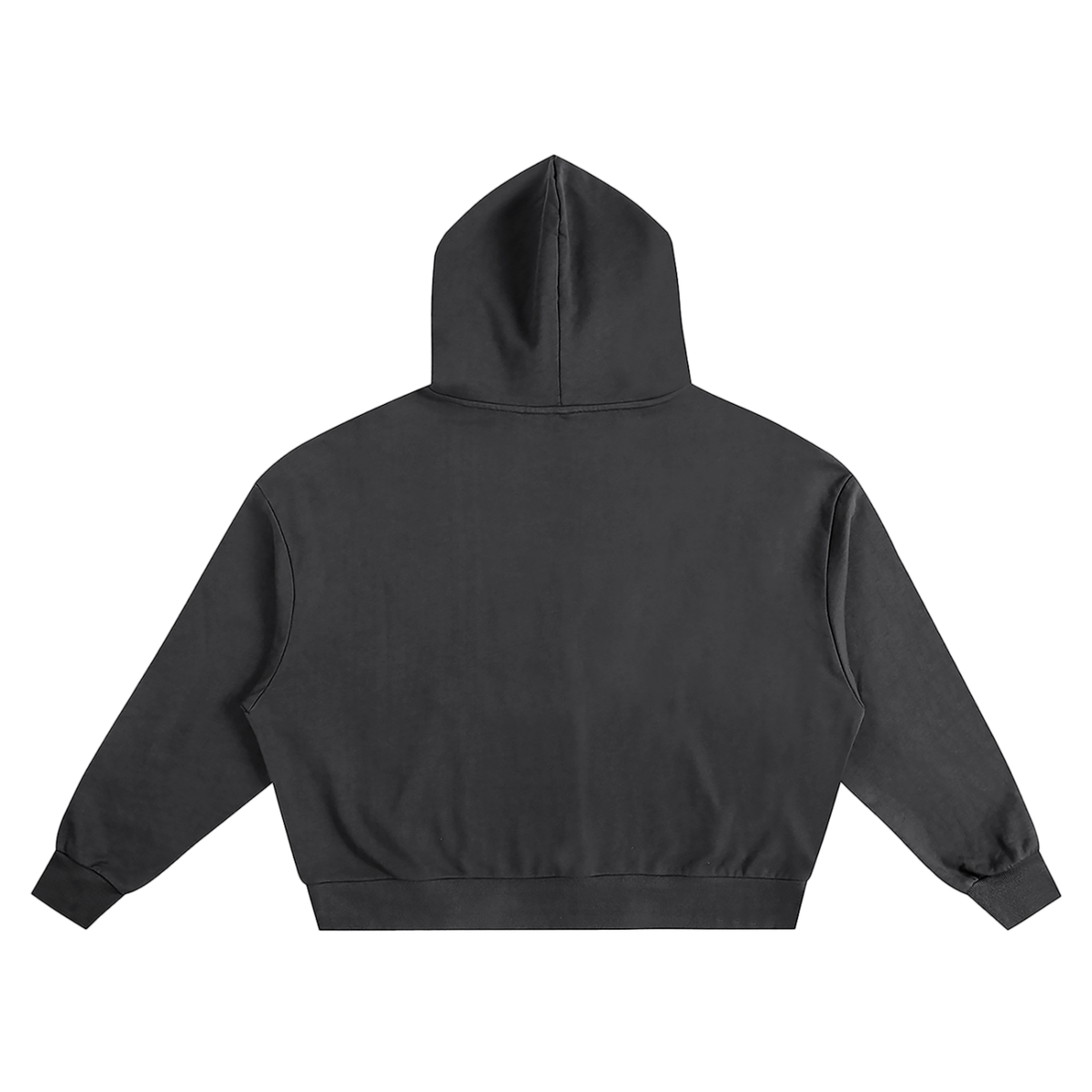 IDOL WORSHIPPERS DON'T GO TO THE NEW JERUSALEM ACCORDING TO Revelation 22:15 Hoodie