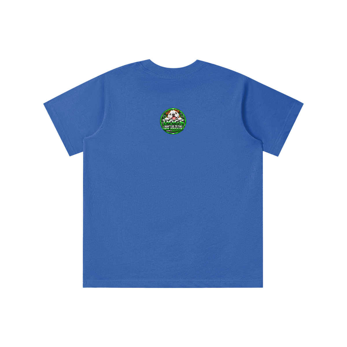 DOZENS OF TESTIMONIES ON THE INTERNET OF JESUS ENCOUNTERING PEOPLE. youth T-shirt