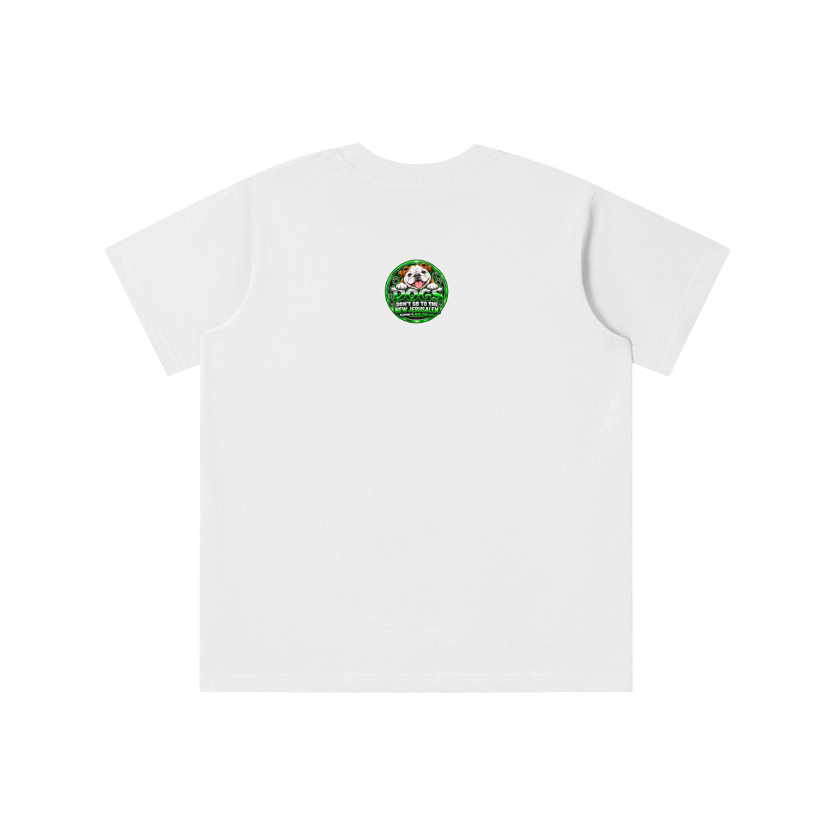 DOZENS OF TESTIMONIES ON THE INTERNET OF JESUS ENCOUNTERING PEOPLE. youth T-shirt