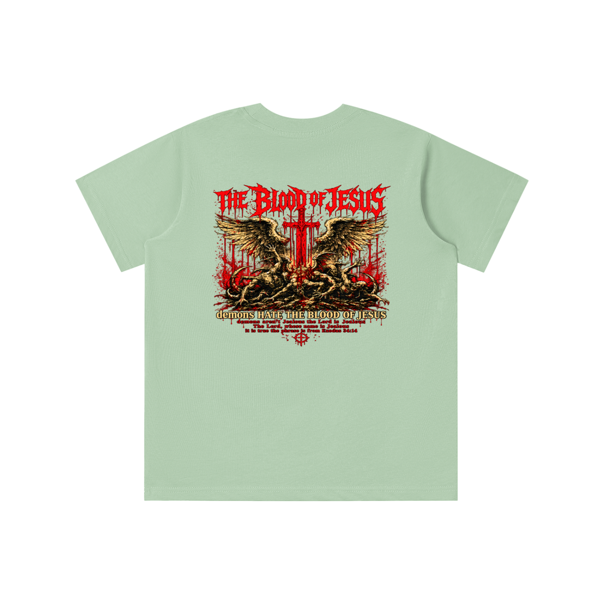 THE LORD'S NAME IS Jealous The phrase is from Exodus 34:14 youth T-shirt