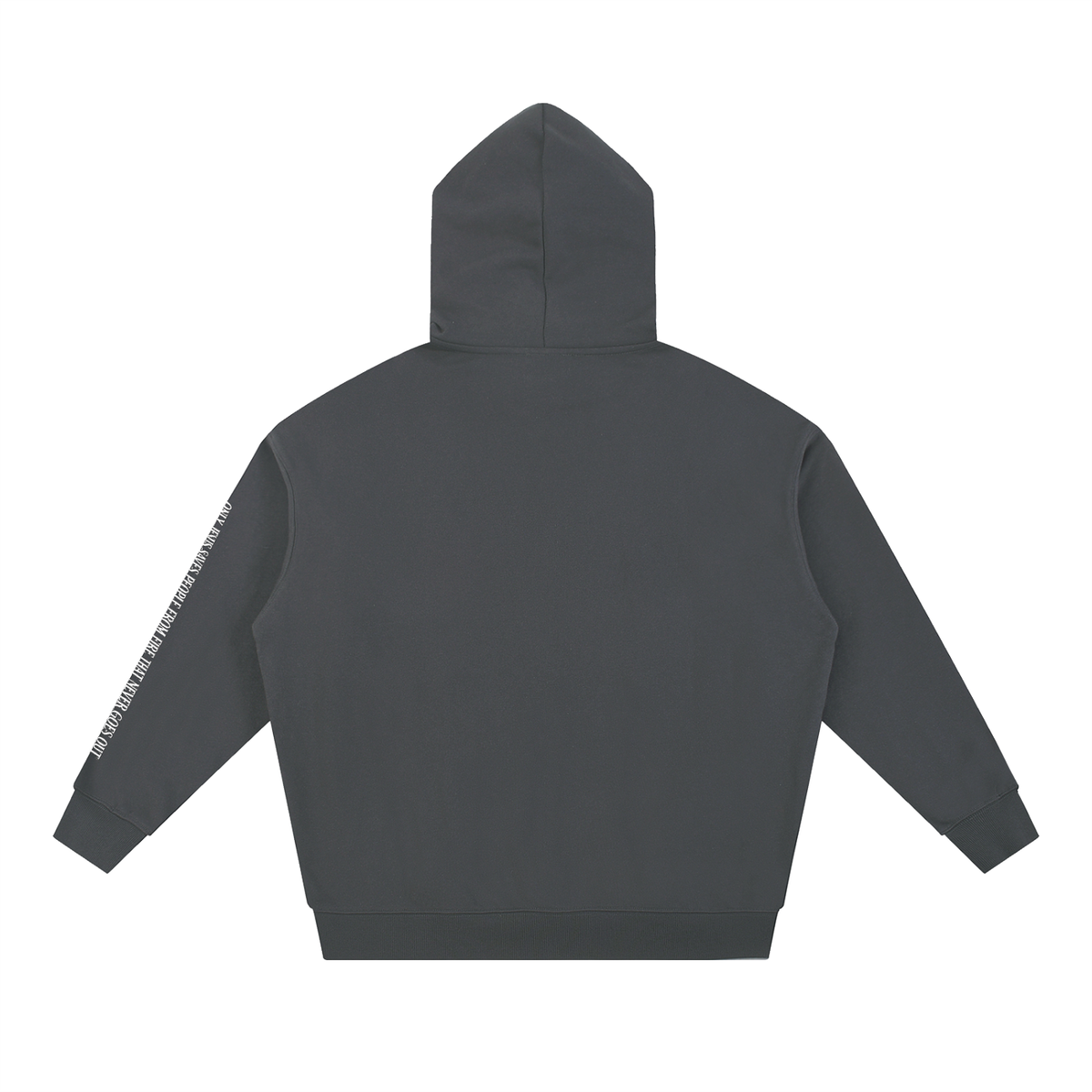 Jesus Won Death Lost Hoodie