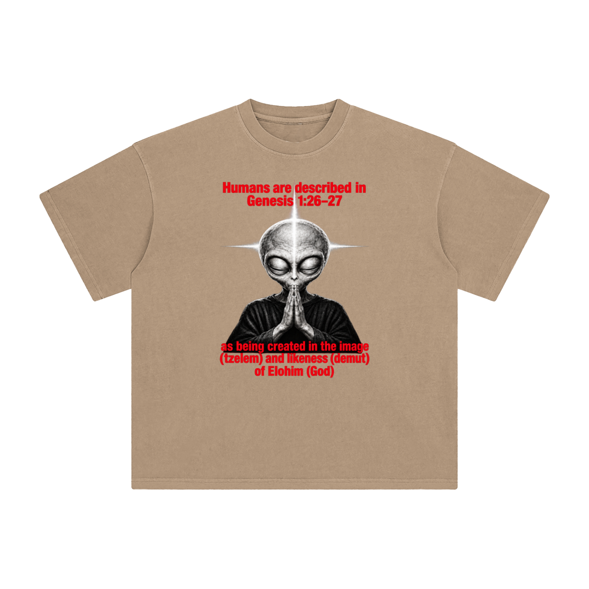 human are described in Genesis 1:26-27 as being created in the image (tzelem) and likeness (demut) of Elohim (God) T-Shirt