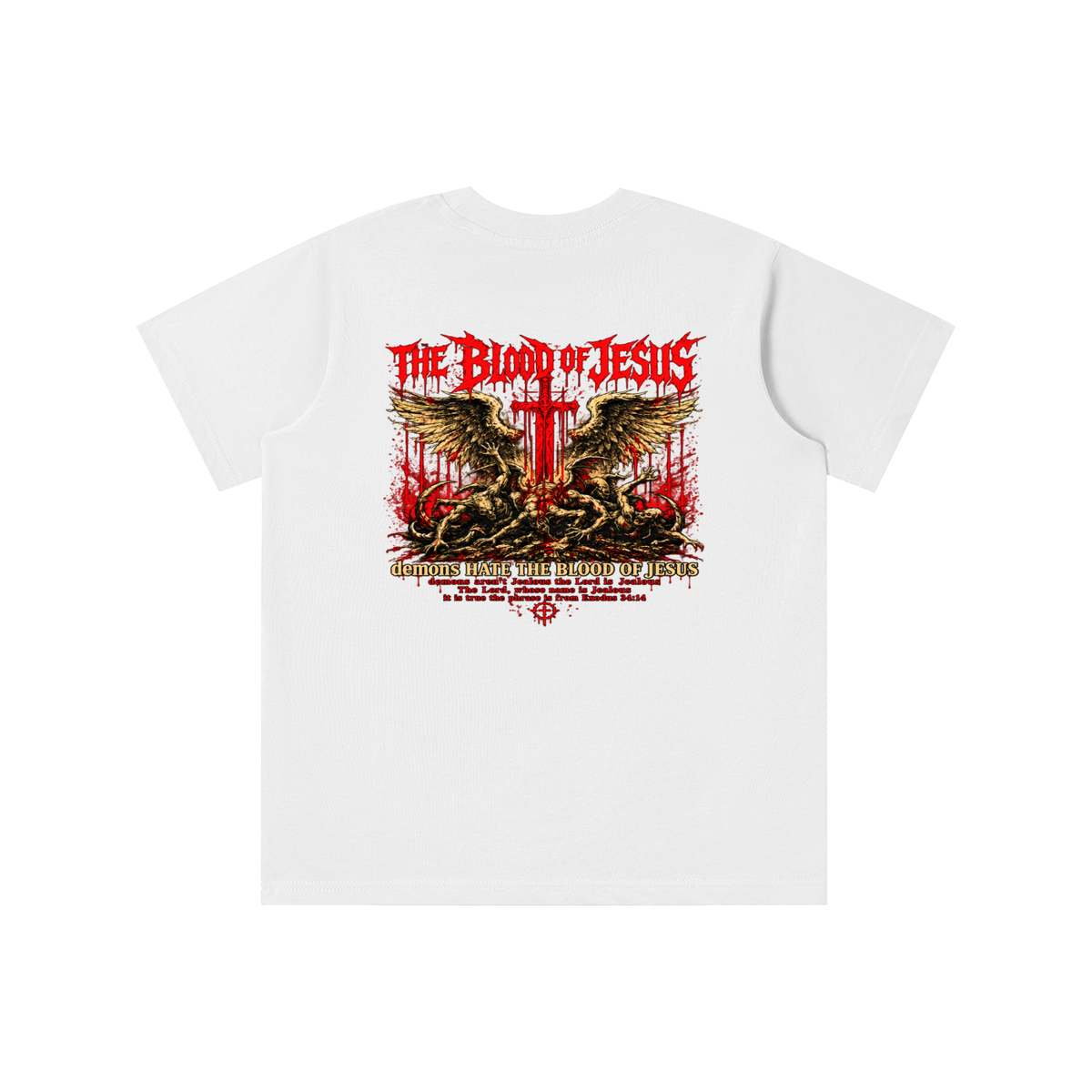 THE LORD'S NAME IS Jealous The phrase is from Exodus 34:14 youth T-shirt