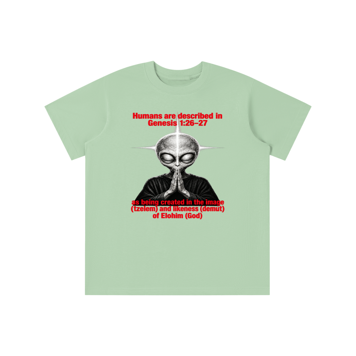 human are described in Genesis 1:26-27 as being created in the image (tzelem) and likeness (demut) of Elohim (God) youth T-shirt
