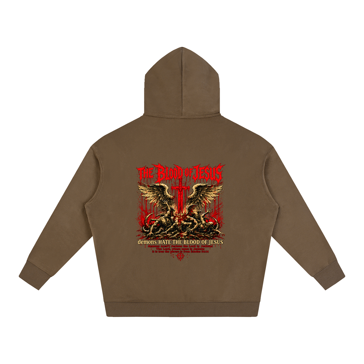 THE LORD'S NAME IS Jealous The phrase is from Exodus 34:14 Hoodie