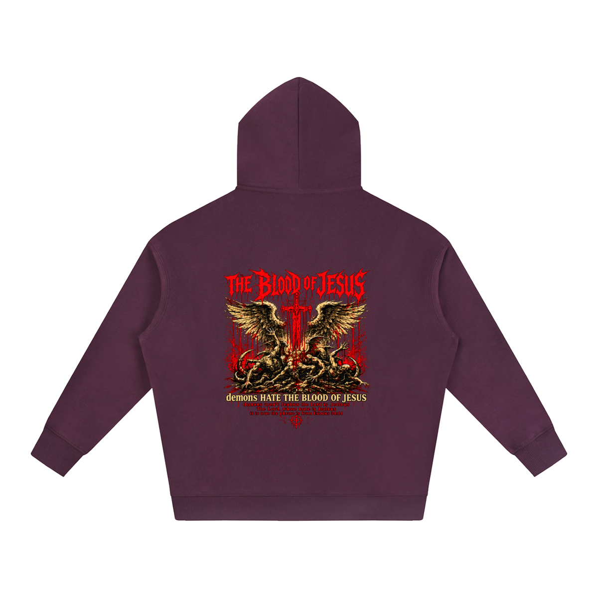THE LORD'S NAME IS Jealous The phrase is from Exodus 34:14 Hoodie