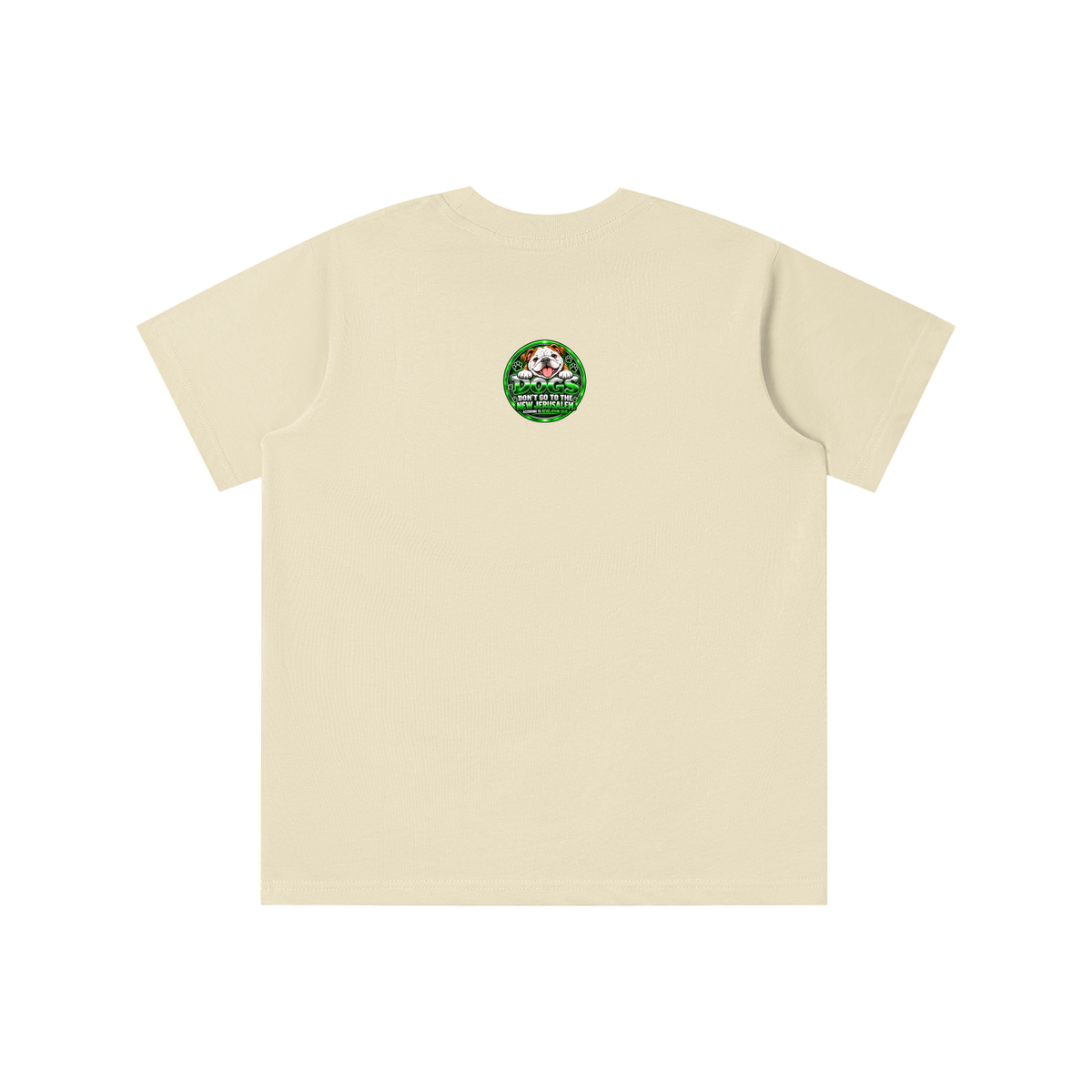 DOZENS OF TESTIMONIES ON THE INTERNET OF JESUS ENCOUNTERING PEOPLE. youth T-shirt