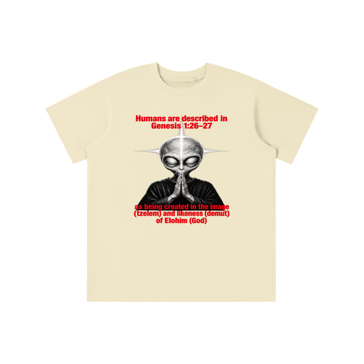 human are described in Genesis 1:26-27 as being created in the image (tzelem) and likeness (demut) of Elohim (God) youth T-shirt