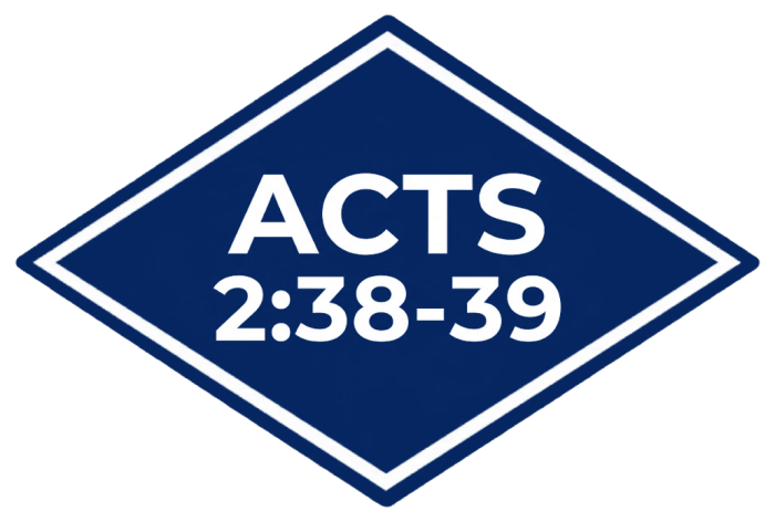 ACTS 2:38-39 Hoodie
