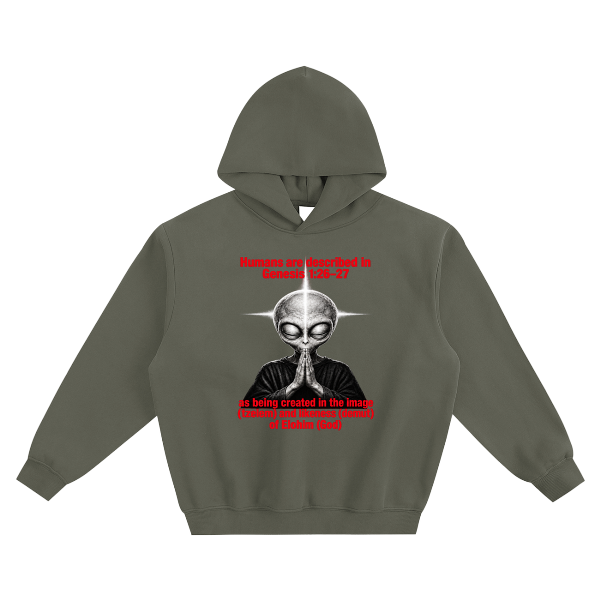 human are described in Genesis 1:26-27 as being created in the image (tzelem) and likeness (demut) of Elohim (God) no pocket Hoodie