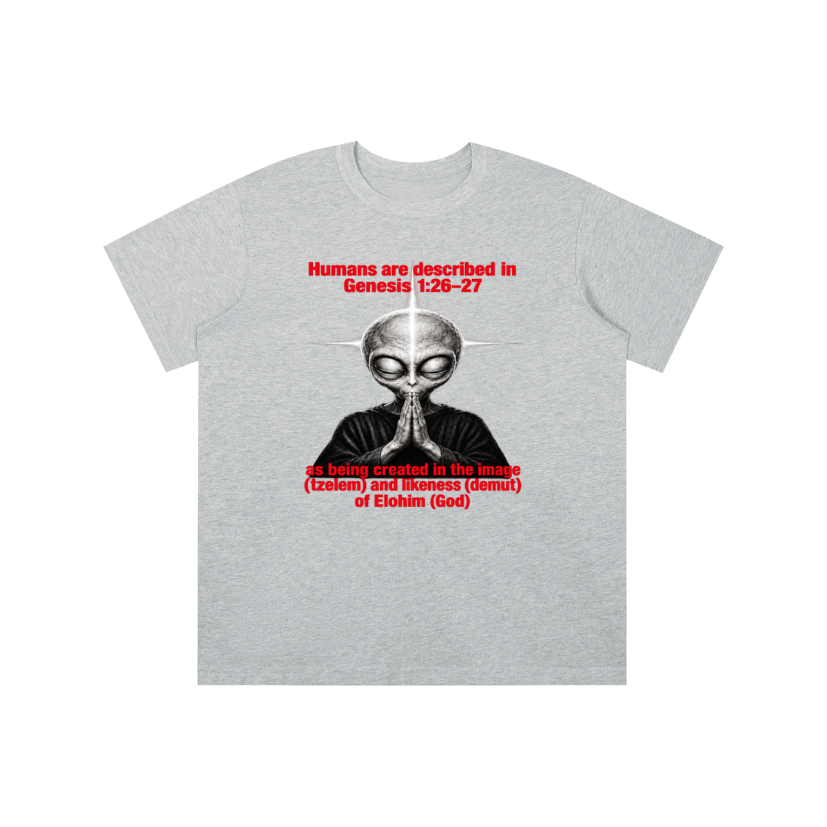 human are described in Genesis 1:26-27 as being created in the image (tzelem) and likeness (demut) of Elohim (God) youth T-shirt