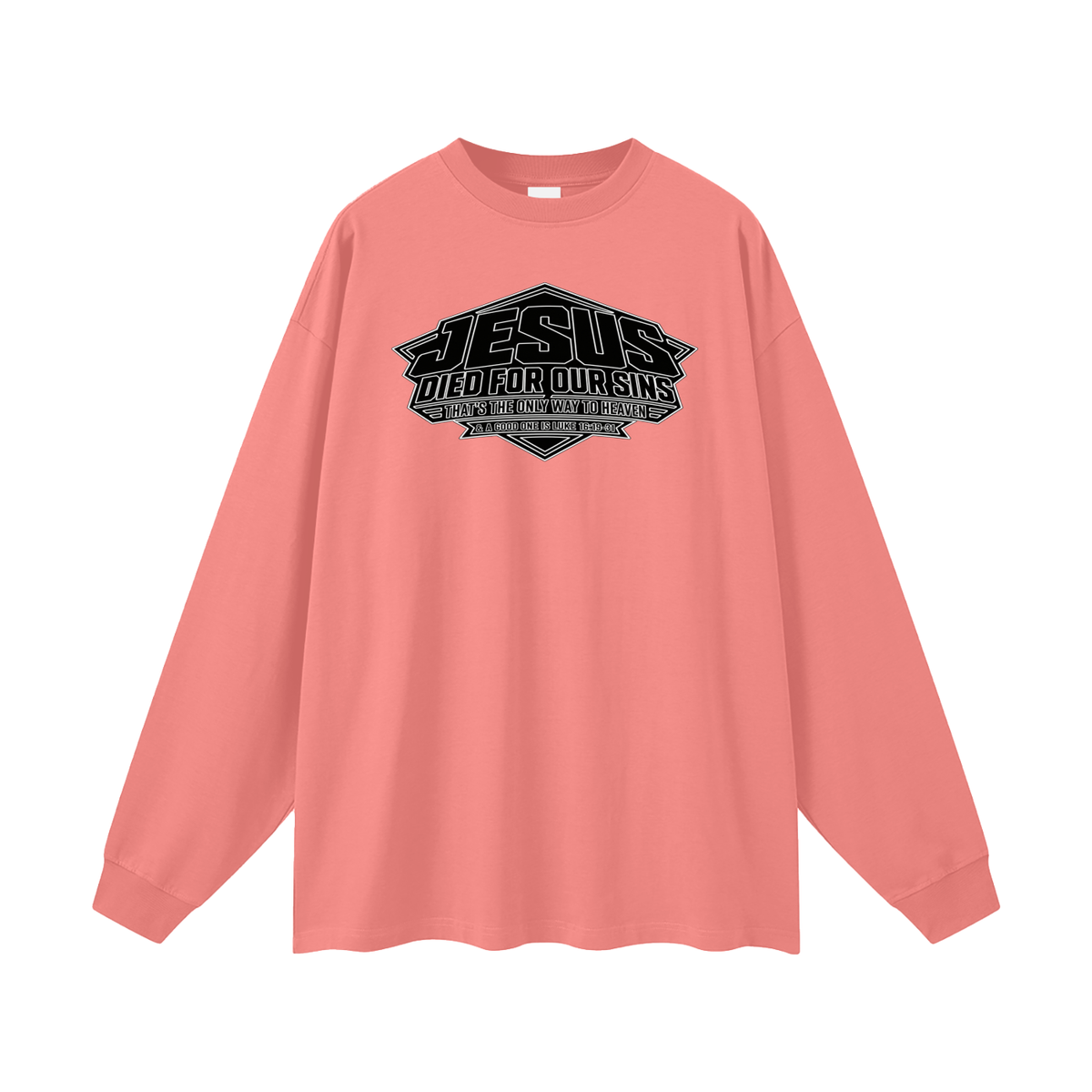 JESUS DIED FOR OUR SINS THAT'S THE ONLY WAY TO HEAVEN & A GOOD ONE IS LUKE 16:19-31 Long Sleeve T-Shirt