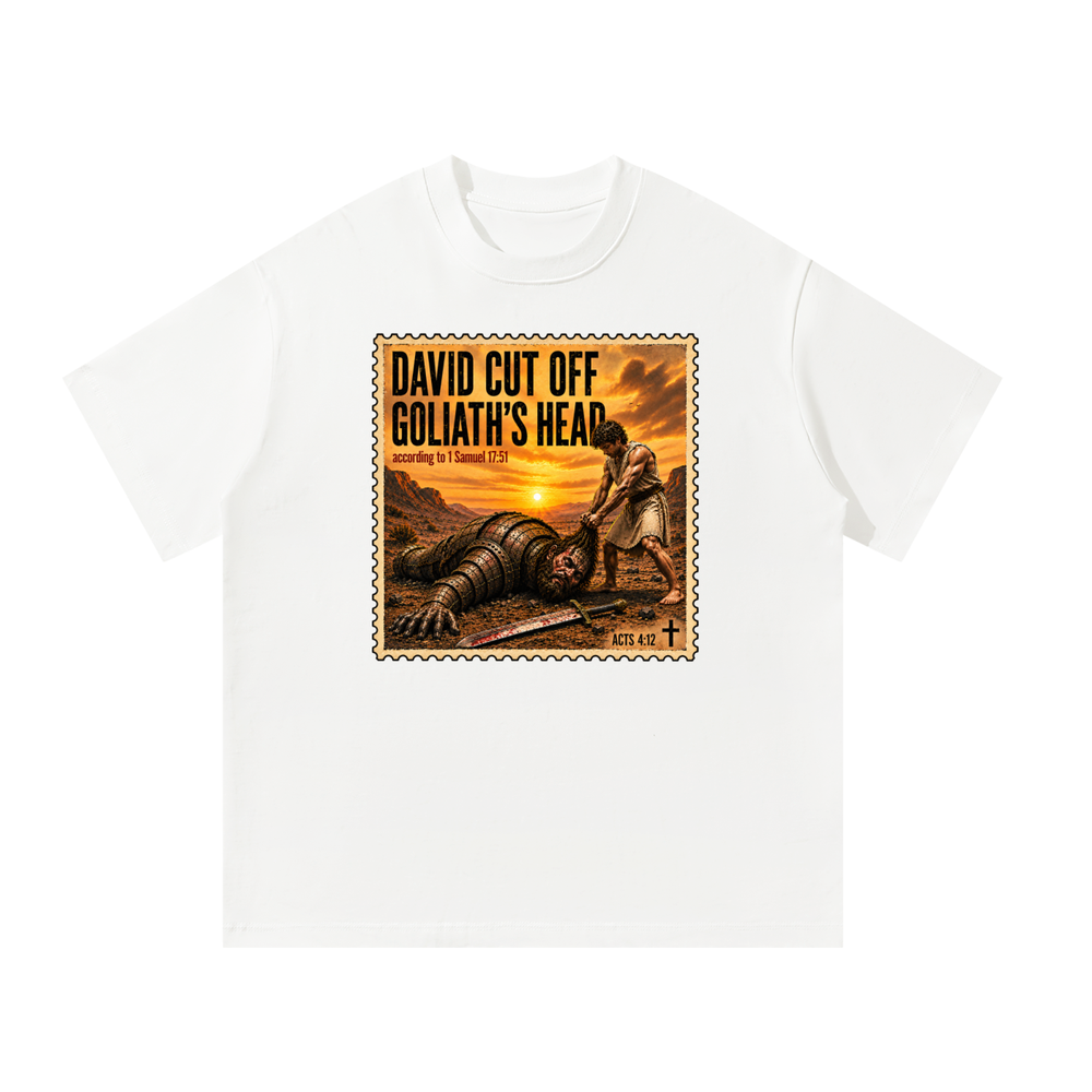 David cut off Goliaths head T-Shirt